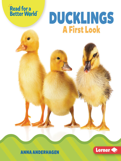Title details for Ducklings by Anna Anderhagen - Available